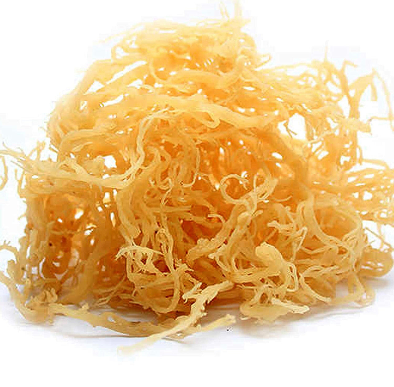 100% Organic Irish Sea Moss • Superfood Sun-Dried
